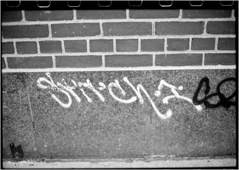 Stitch-1-1985 copy