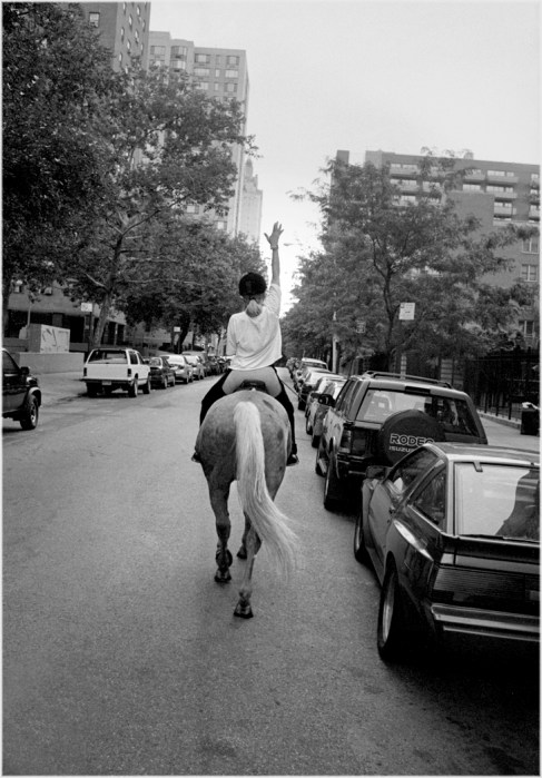 horses-manhattan-nyc