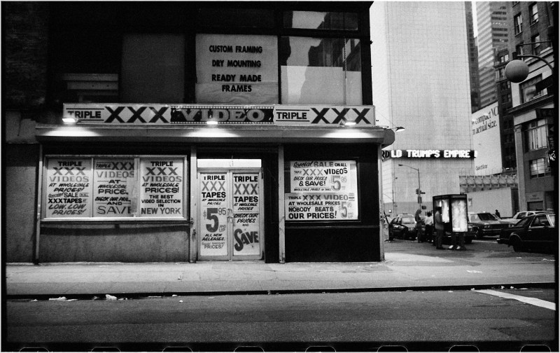 trump-porn-xxx-matt-weber