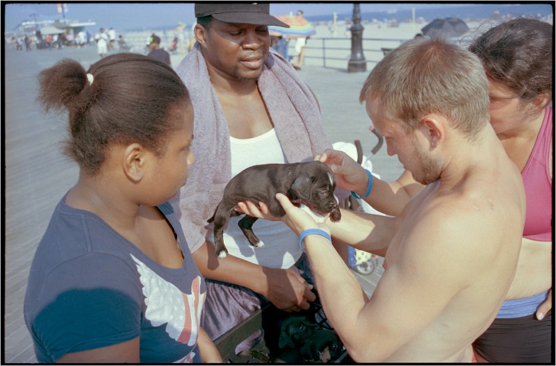 coney-island-matt-weber