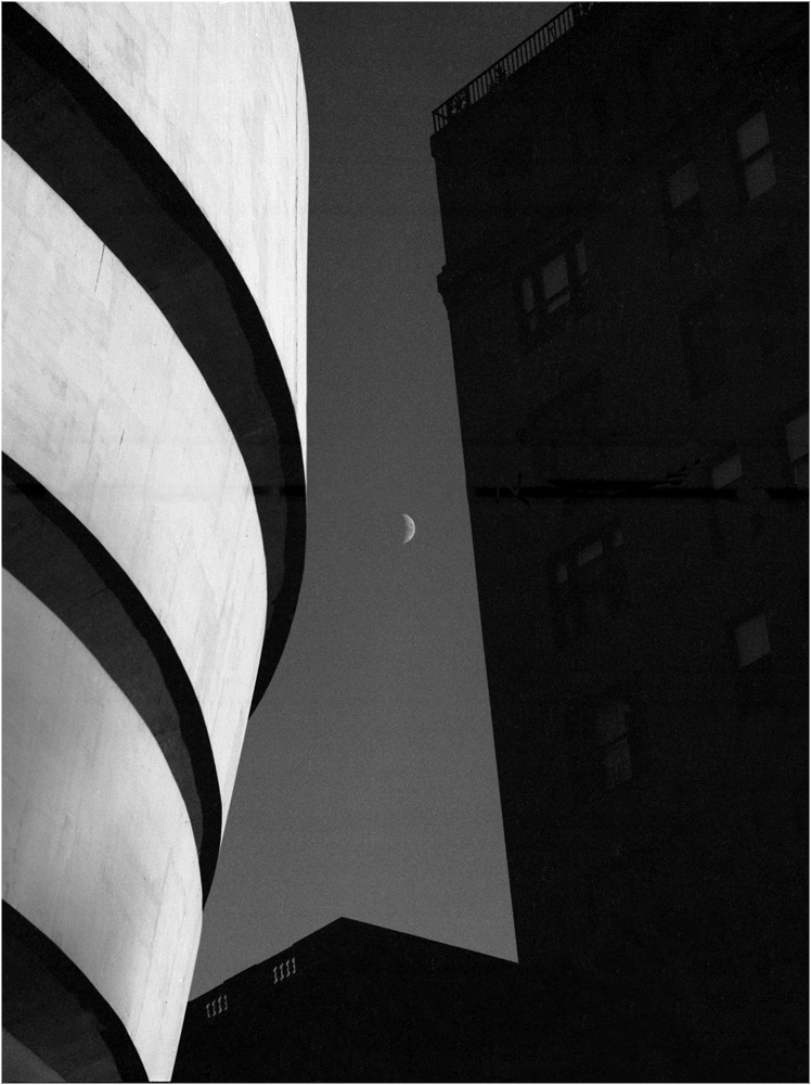Guggenheim-Moon