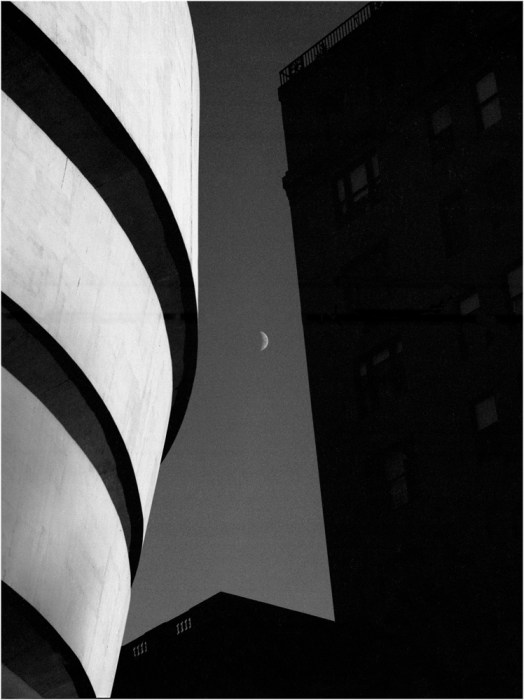 Guggenheim-Moon