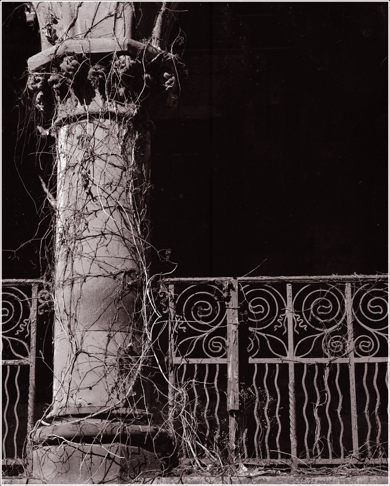 cancer-hospital-nyc-matt-weber