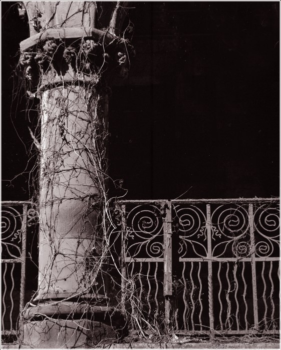 cancer-hospital-nyc-matt-weber