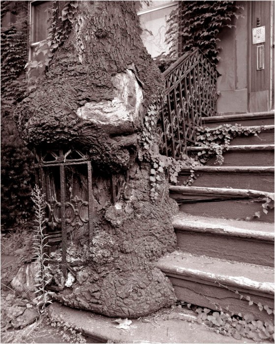 TREE-NYC-Brownstone-matt-weber