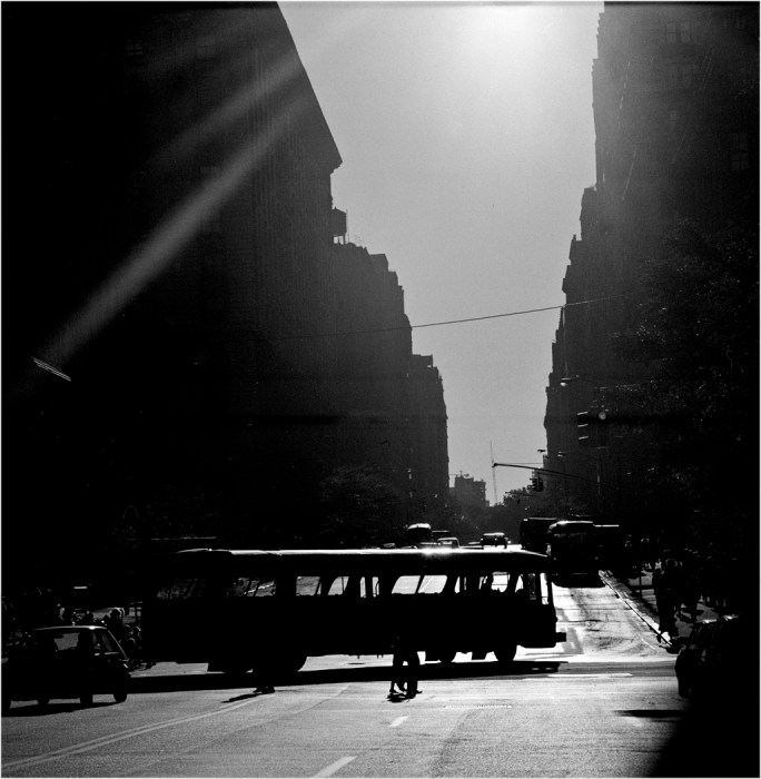 FISHBOWL-BUS-SUNset-matt-weber