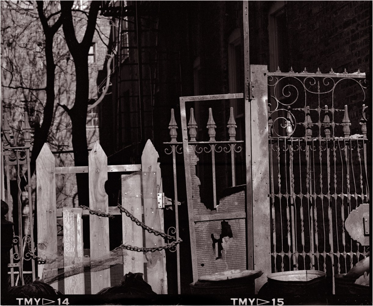 Harlem-Fences-gates-matt-weber