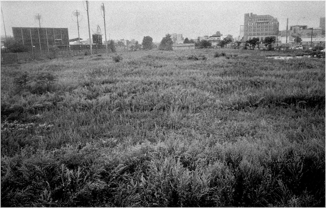 Coney-FieldOfDreams-2010 copy