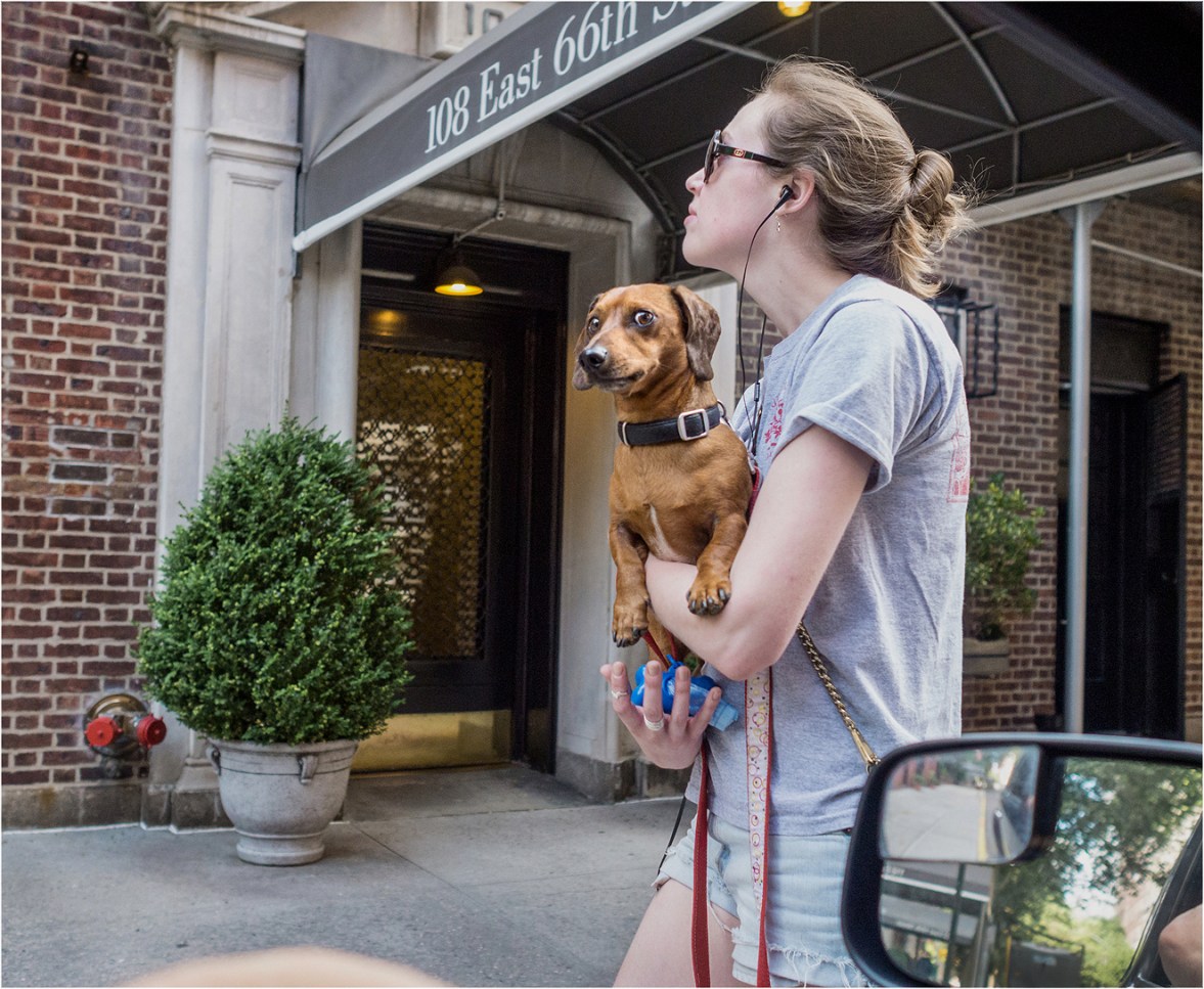 dachshund-matt-weber