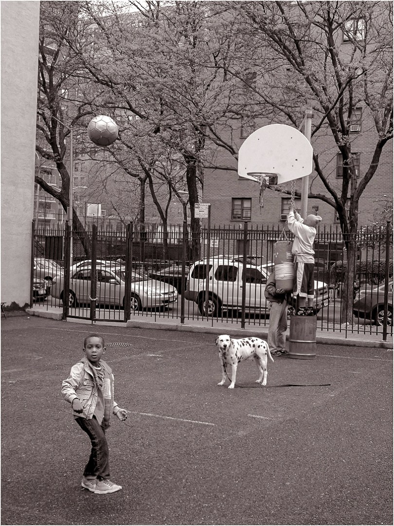 basketball-matt-weber