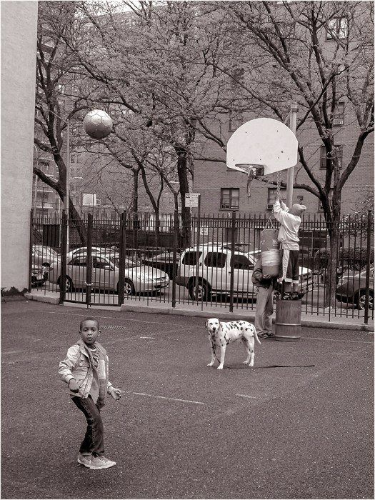 basketball-matt-weber