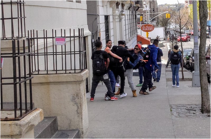 fight-harlem-matt-weber