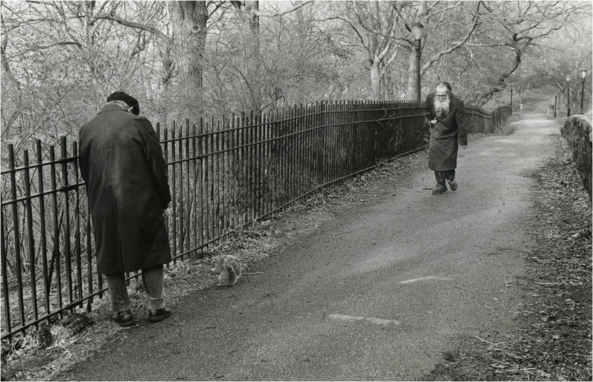 Riverside=park-matt-weber