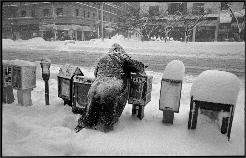 homeless-snow-nyc