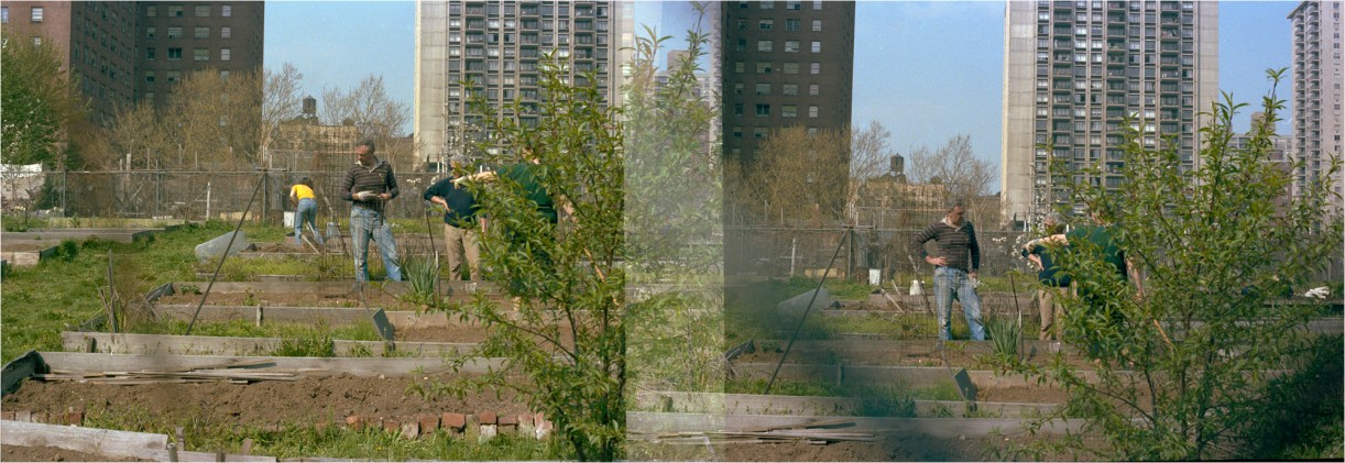 AGP-Garden-x2-1985 copy