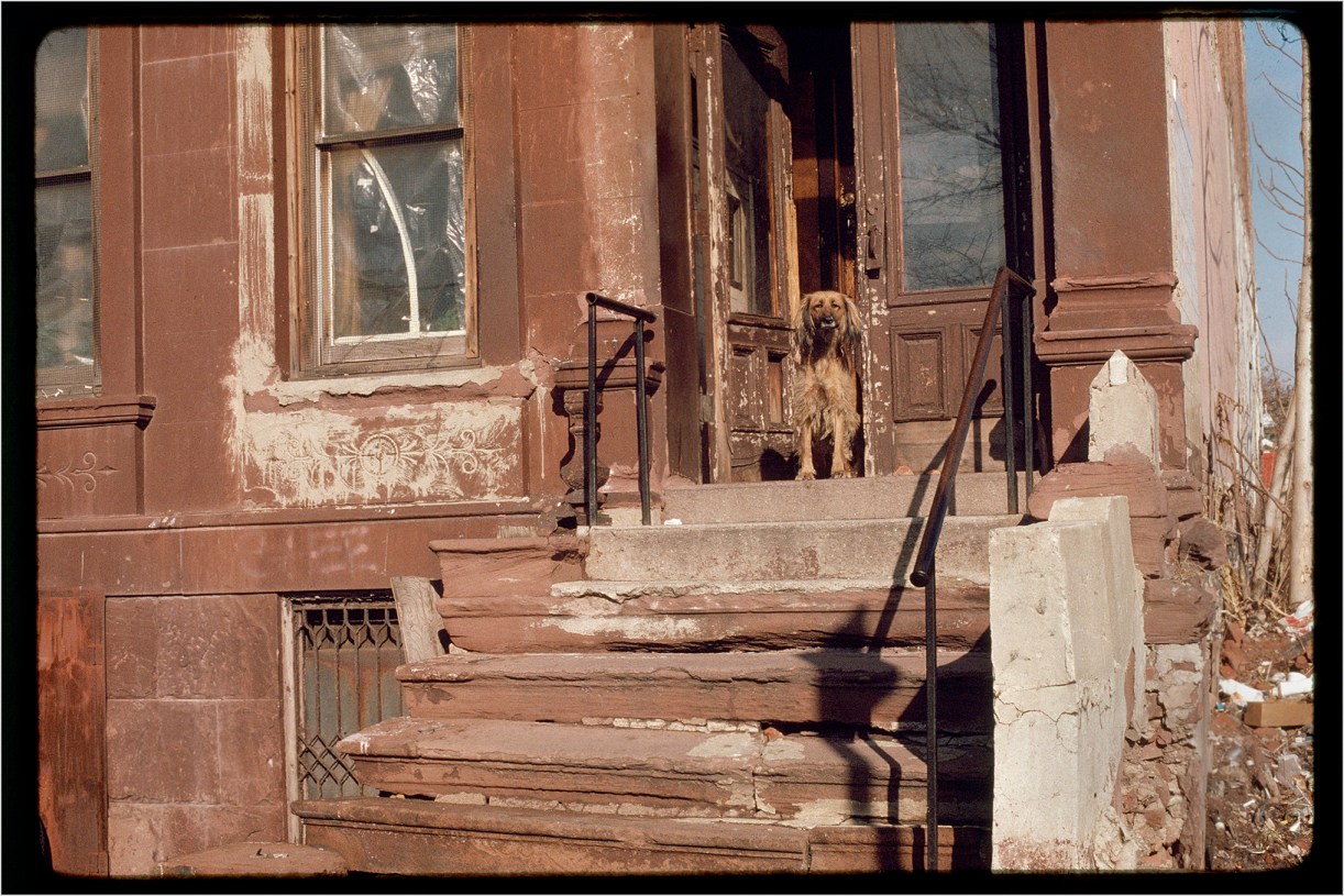 abandoned-building-harlem