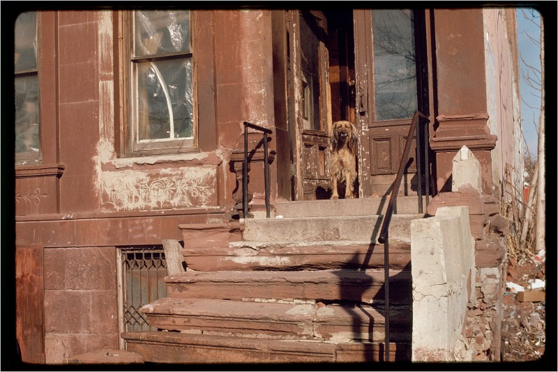 abandoned-building-harlem