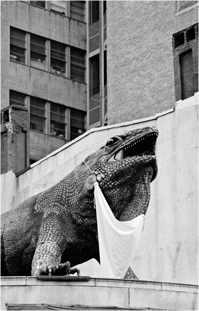 LoneStar-iguana-1988 copy