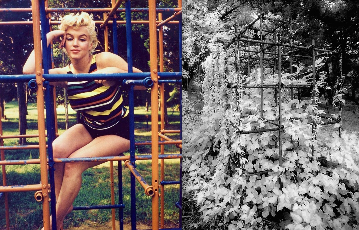 Marilyn-Mt-Sinai-MonkeyBars