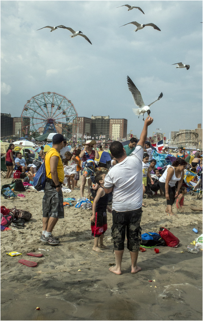 *Coney-SeaGulls-Beach-snatch copy