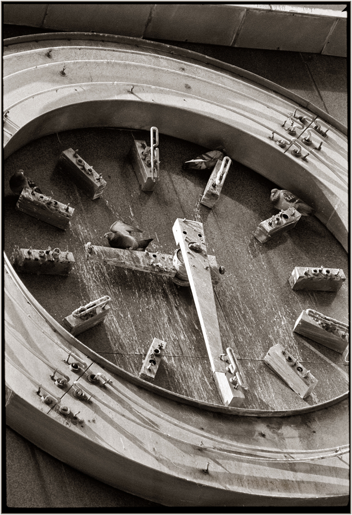 BOND-O-Pigeon-1985 copy