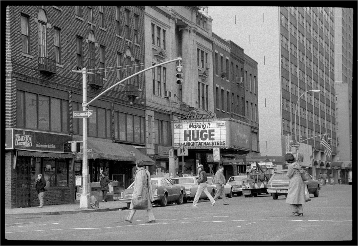 8th-ADONIS_HUGE-1985 copy