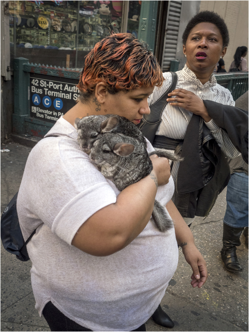 **8th-Bunny-Rabbit-oneleg-2 copy