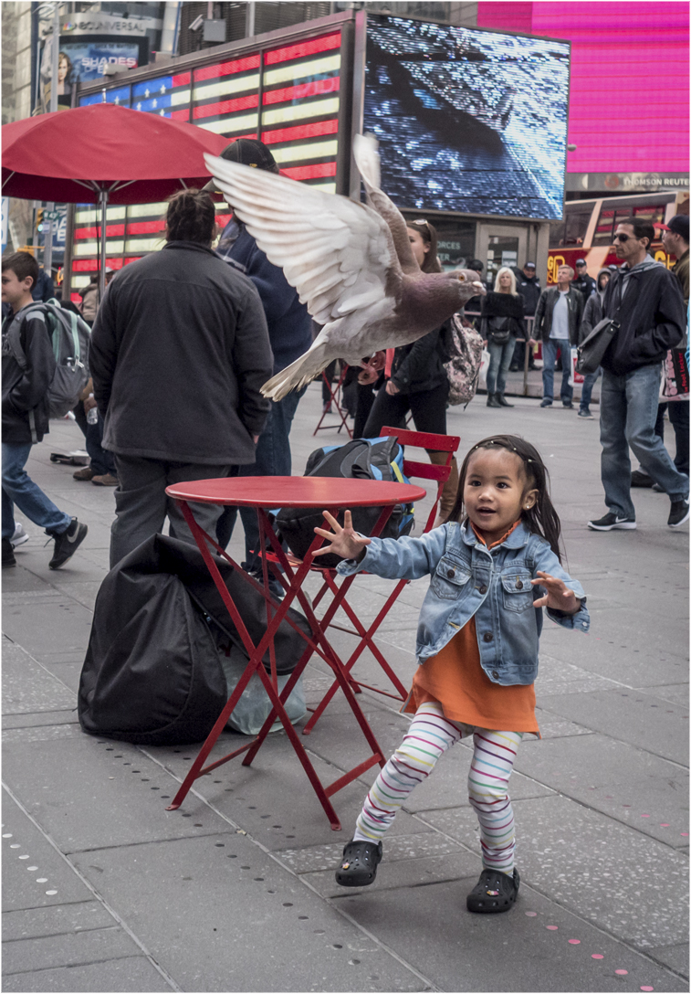 **Times-Girl-Pigeon-2 copy