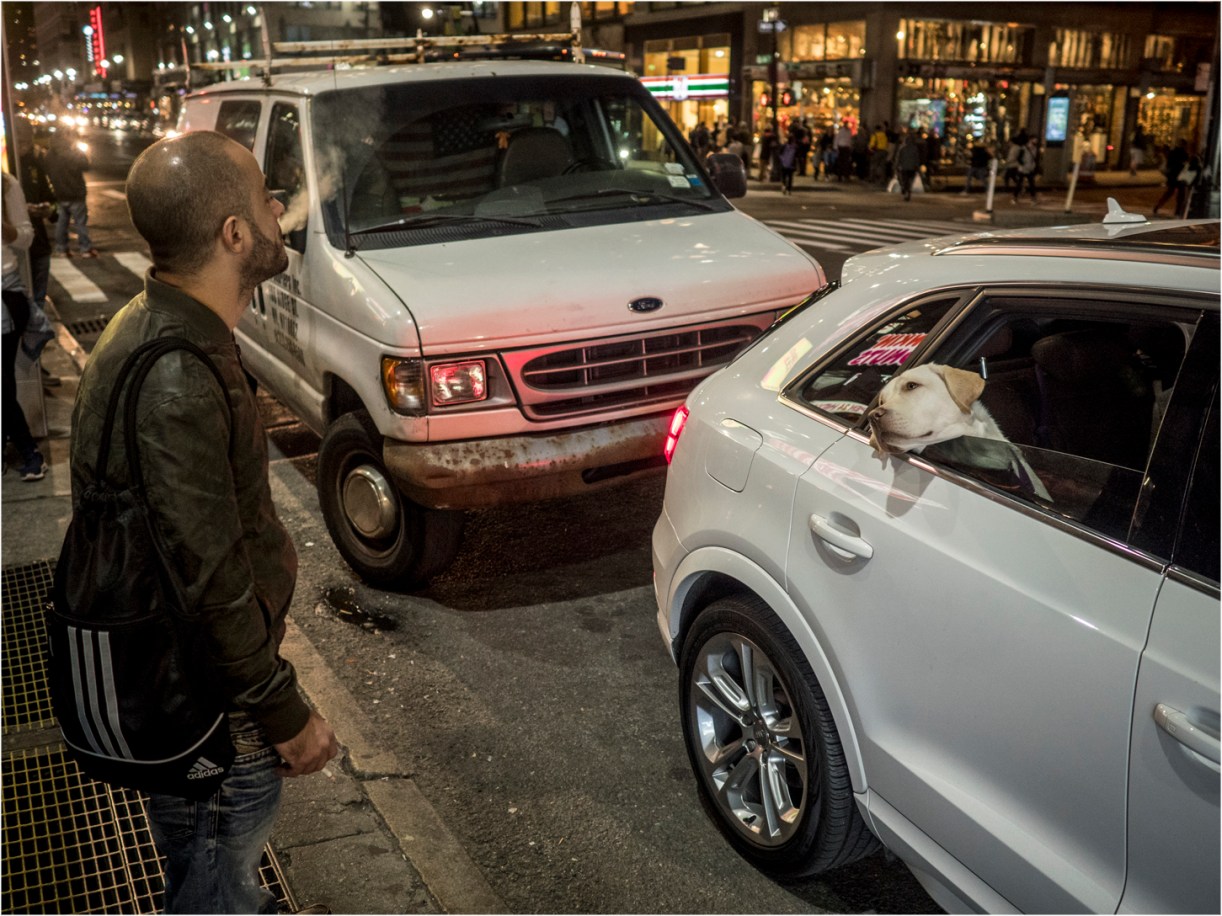 dog-stares-smoker-copy