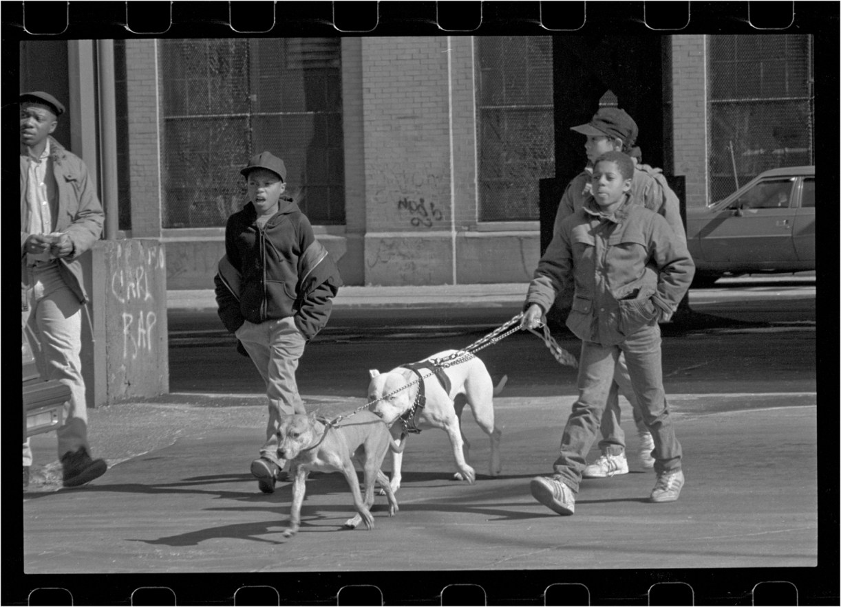 boys-pitbull-harlem-1989-copy