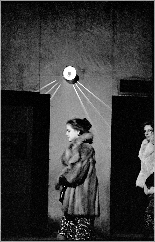 nocturnalfurbabes-1989-copy